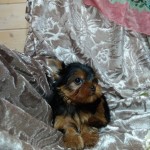 image00021