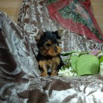 image00025