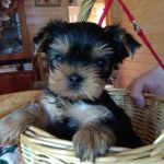 whatsapp-image-2021-06-24-at-08.43.04