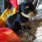 whatsapp-image-2022-02-10-at-15.01.33