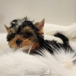 IMG-20240107-WA0032