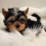 IMG-20240107-WA0033