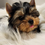 IMG-20240107-WA0034