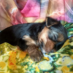 IMG-20240107-WA0015