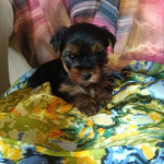 IMG-20240107-WA0017