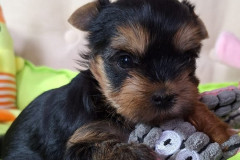 1_Изображение-WhatsApp-2025-04-13-в-11.05.16_43f745d5_cr
