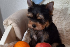IMG-20250518-WA0096_cr